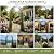 1. GO Steel Garden Arch, 7'6" High x 3'9" Wide, Garden Arbor for Various Climbing Plant, Outdoor Garden Lawn Backyard