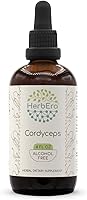 Vista 6 de Cordyceps B60 - Tintura de extracto de hierbas sin alcohol, gotas líquidas concentradas, hongos secos naturales Cordyceps (Cordyceps Sinensis)