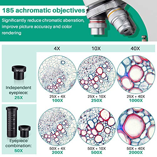 BEBANG 100X-2000X Microscope, All-Metal Optical Glass Lenses, Coarse and Fine Focusing, 25X Widefield Eyepiece and Complete Accessories Kit