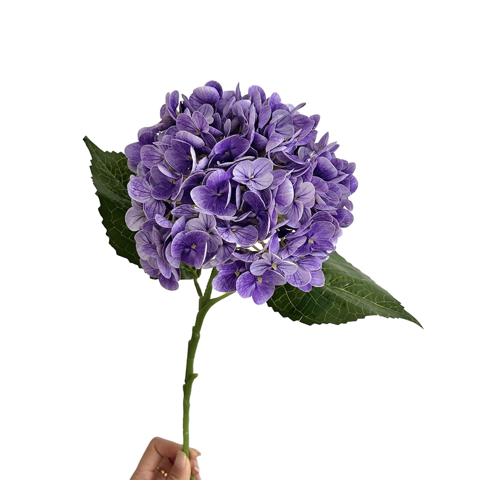 ZBIianxer Realistic Simulation Silk Hortensia Flower Fade Resistant Artificial Flower for Wedding Tabletop Centerpieces Simple Faux