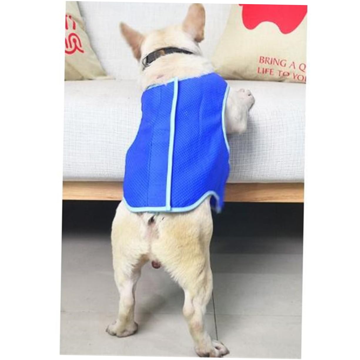 Didiseaon 3pezzi Pet Cooling Dog Ice-cooling Harness Rinfrescante Per Mesh e Traspirante Facile Da Indossare e Lavabile