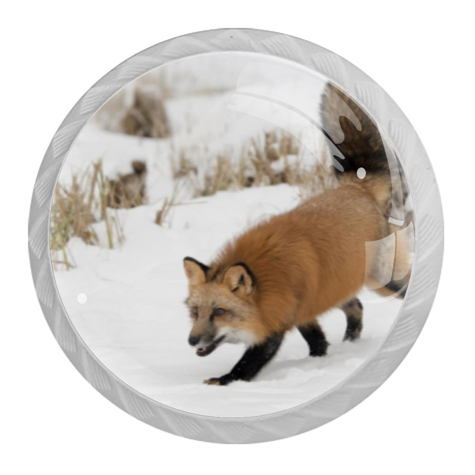 Tqmspg 4 Pieces Drawer Pulls Fox in Winter Door Knobs Dresser Handles for Kitchen Wardrobe Cupboard Hardware Furniture