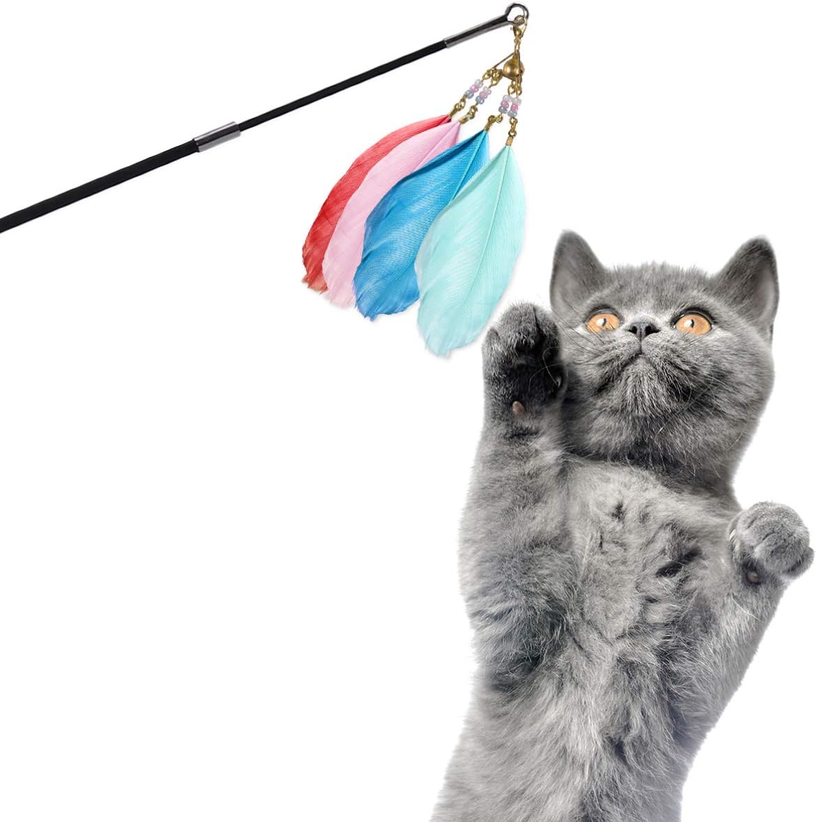 retractable cat toy