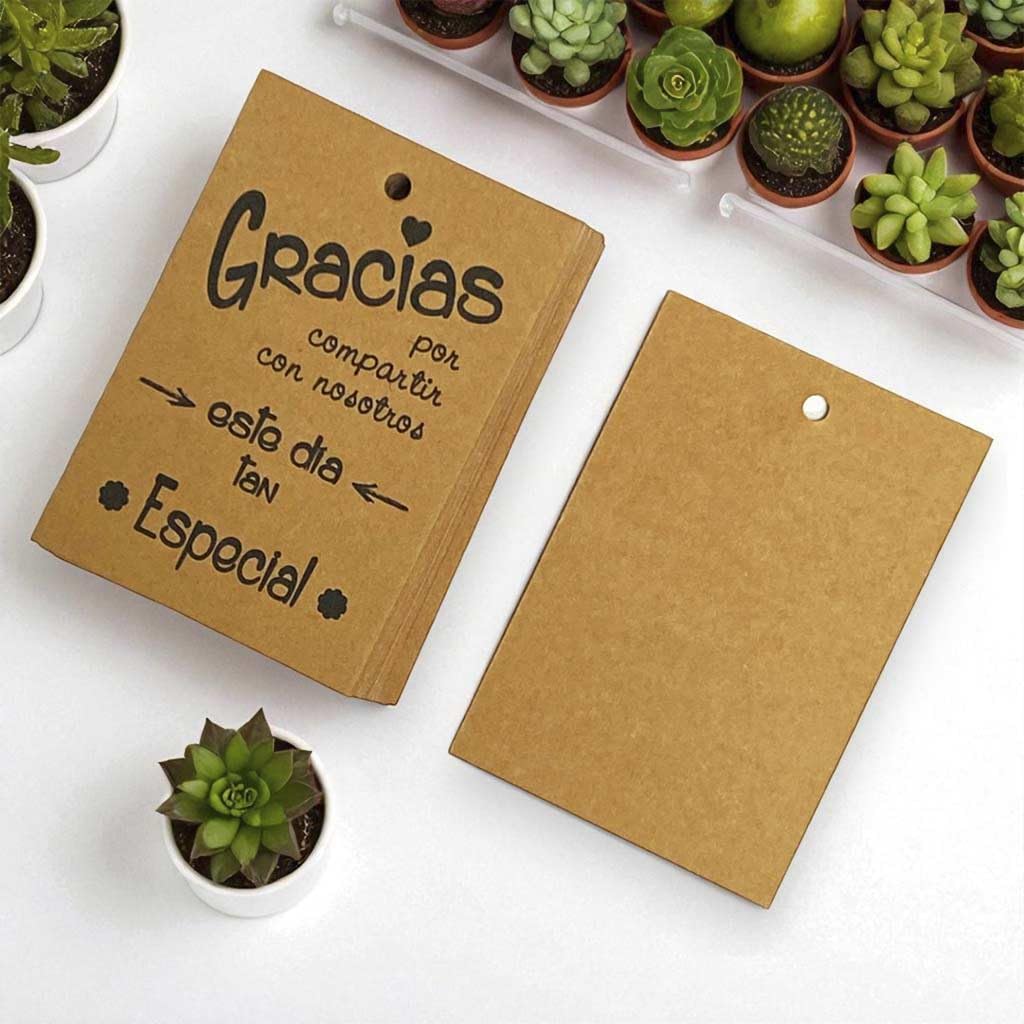 Genérico Alpargatas Boda Lisas Surtidas 4 Colores (Caja de 24 Pares) (Regalo de Bolsita + Tarjeta + Cinta) 35011