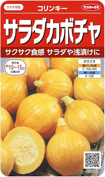 Amazon サカタのタネ 実咲野菜1103 サラダカボチャ コリンキー 野菜 Amazon サカタのタネ 実咲野菜1103 サラダカボチャ コリンキー 野菜