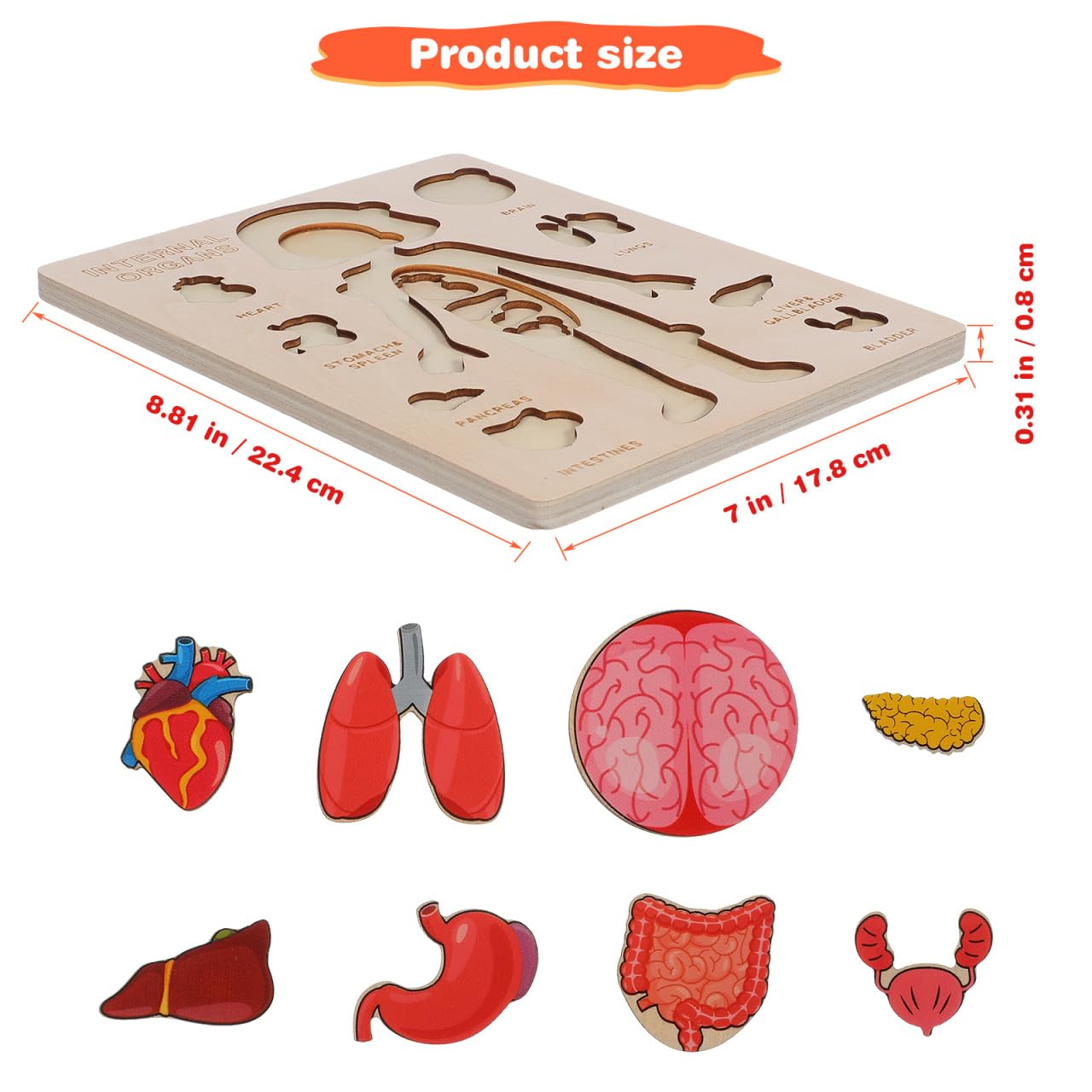 Toyvian Wooden Human Body Puzzle for Kids - Image 2