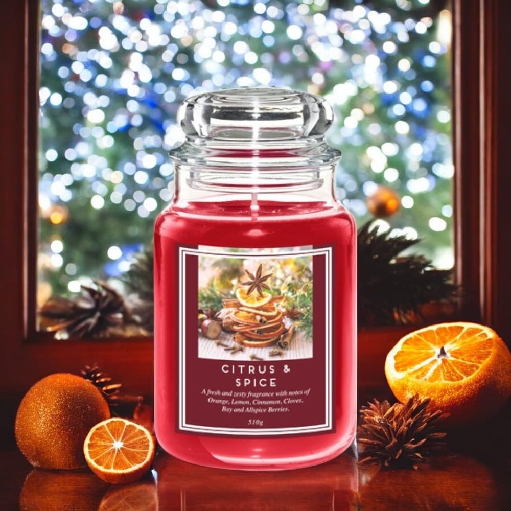 Fabfinds Multi Large 18Oz Scented Glass Jar Candle Natural Soy Wax Gift Fragrance (Free 8Pcs Wax Melt) Burn Time: 104 Hours (Orange Cinnamon & Clove)
