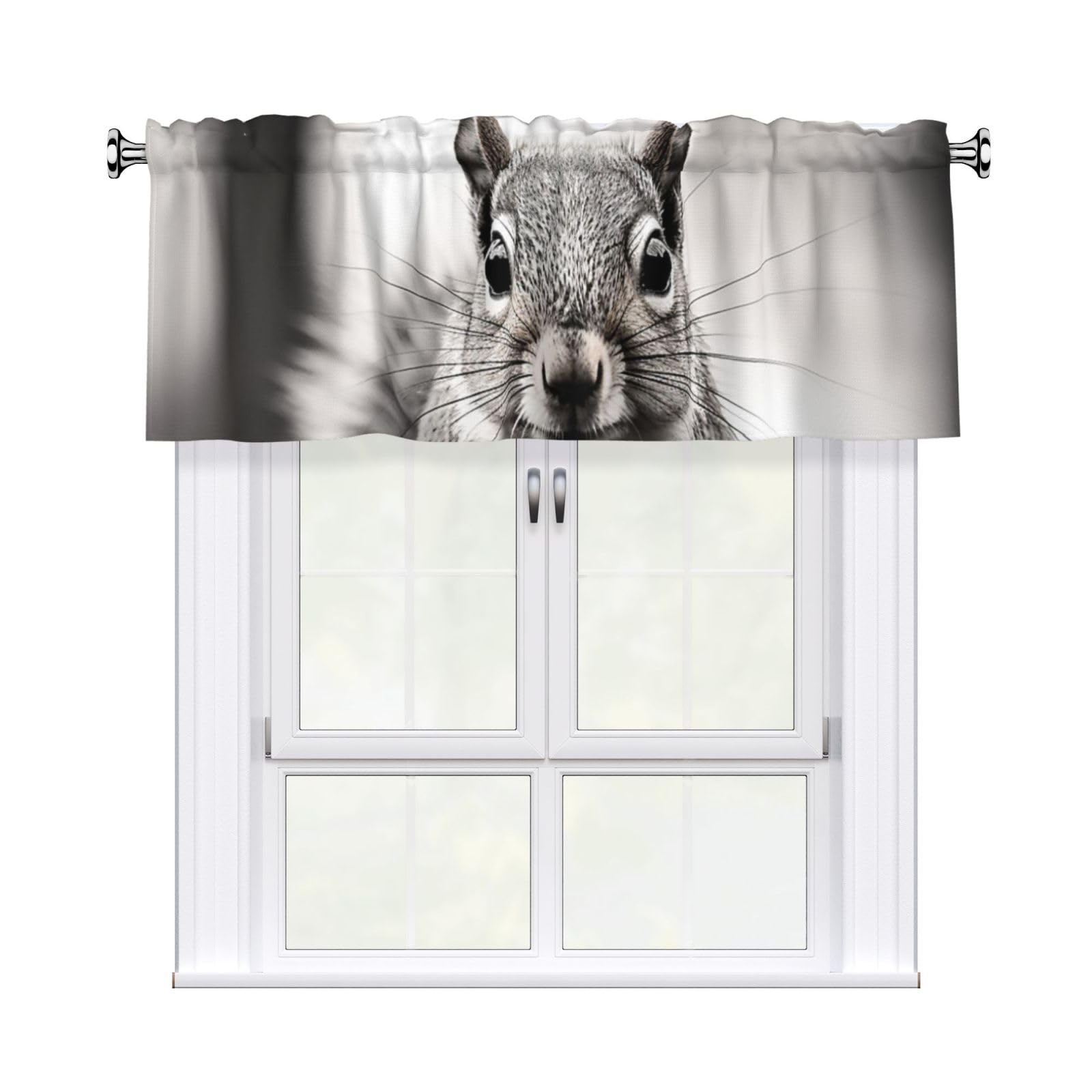 HJKJKKJ Window Valance 137x 46 CM Kitchen Curtains Light Gray Squirrel Valances for Windows Vintage Short Window Curtains Farmhouse Rod Pocket Decorative Curtain Valance for Bedroom Bathroom