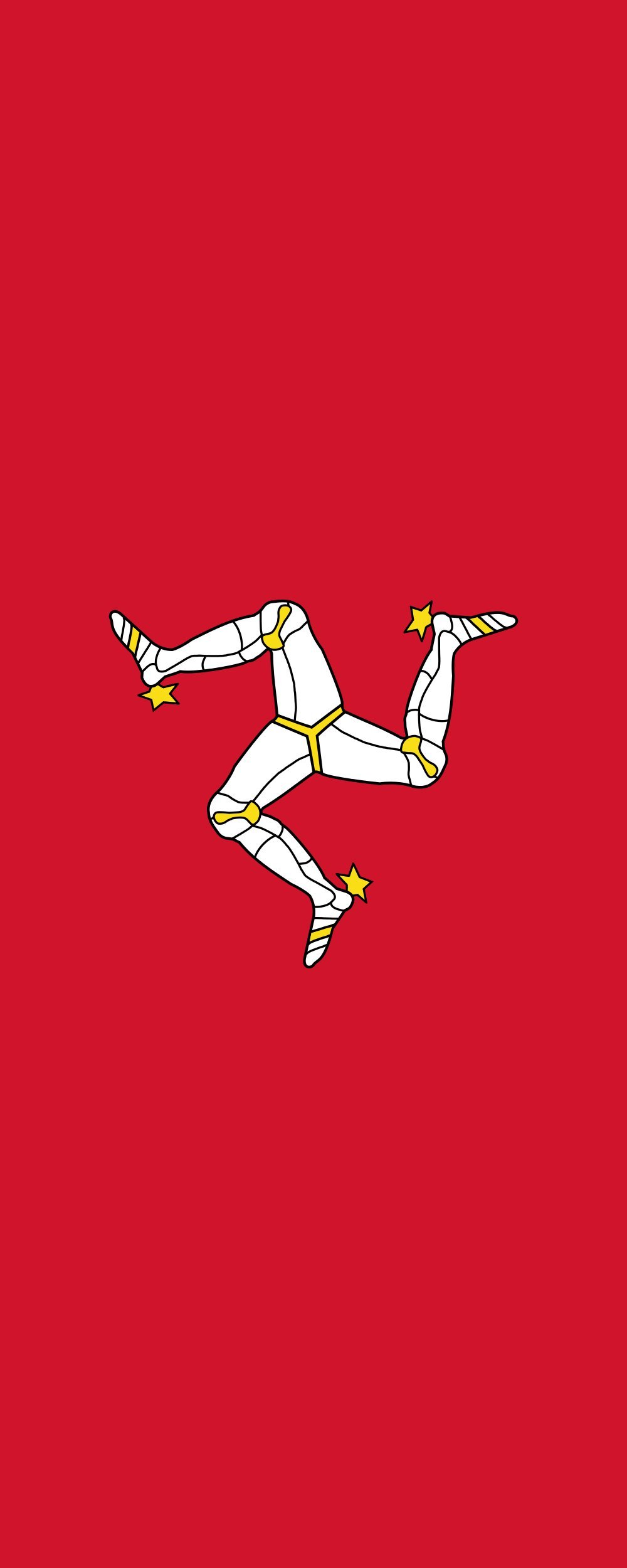 Drapeau Île de Man de 300x120cm aux finitions soignées en textile renforcé