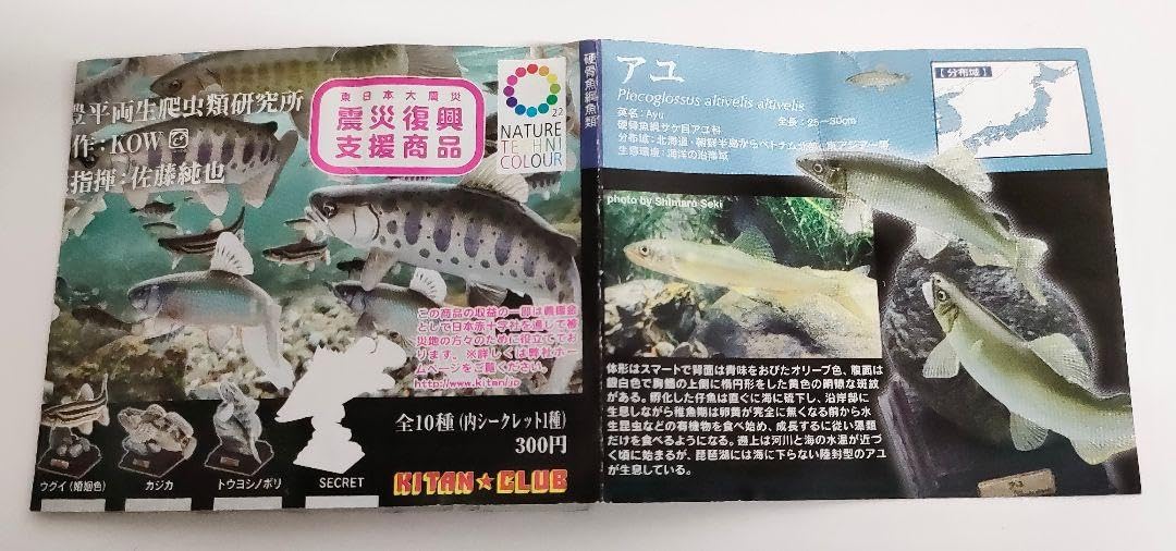 ☆【レア!!未開封品】ネイチャーテクニカラーシリーズ サバンナ