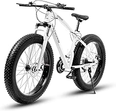 26 Inch Fat Tire Mountain Bike with Dual Disc Brakes, 4...