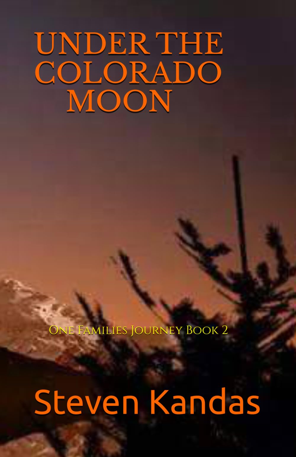 UNDER THE COLORADO MOON: One Families Journey Book 2