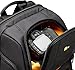 Case Logic SLRC-206 SLR Camera and 15.4-Inch Laptop Backpack (Black)