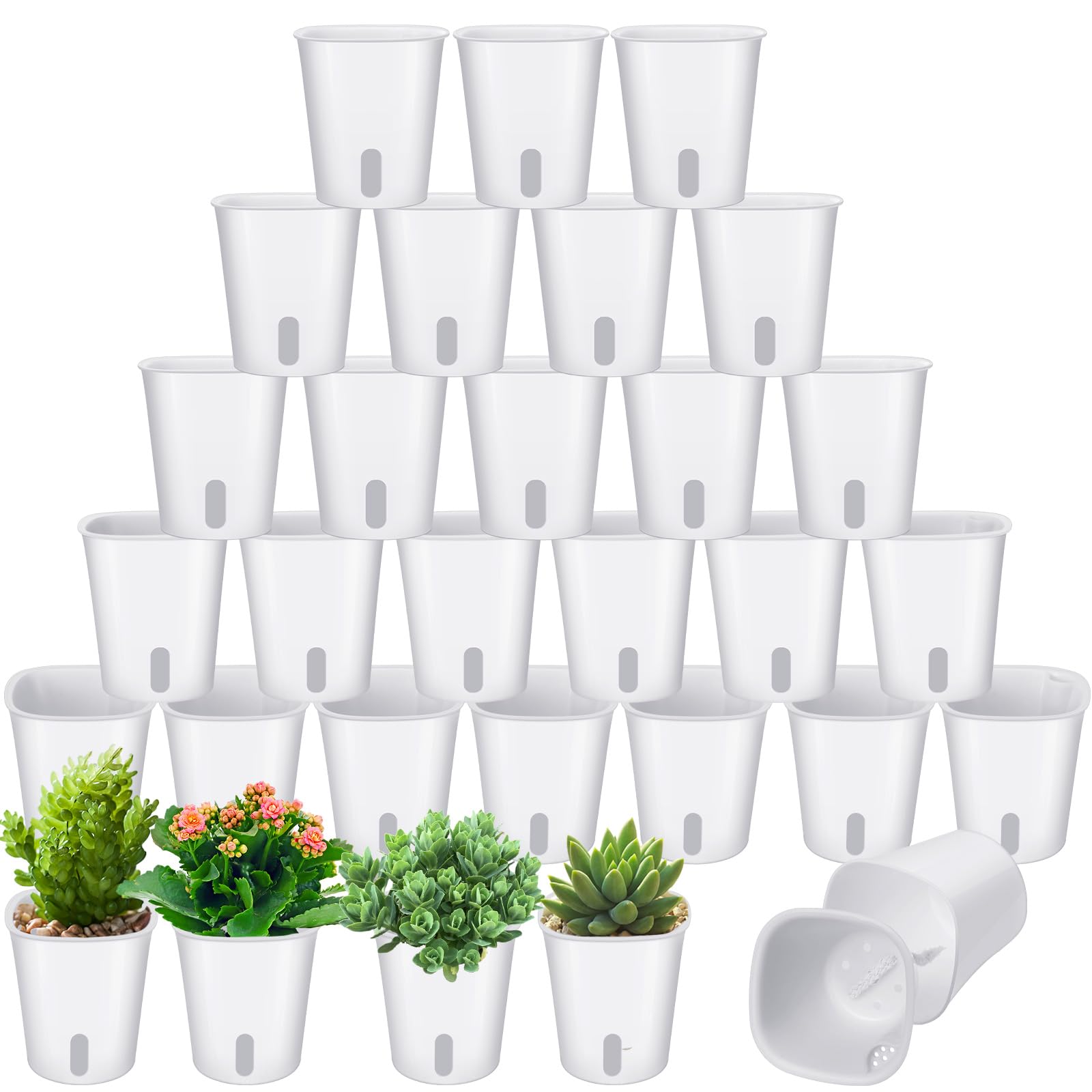 Amazon.com : Ziliny 30 Pcs 3 Inch Self Watering Pots Self Watering
