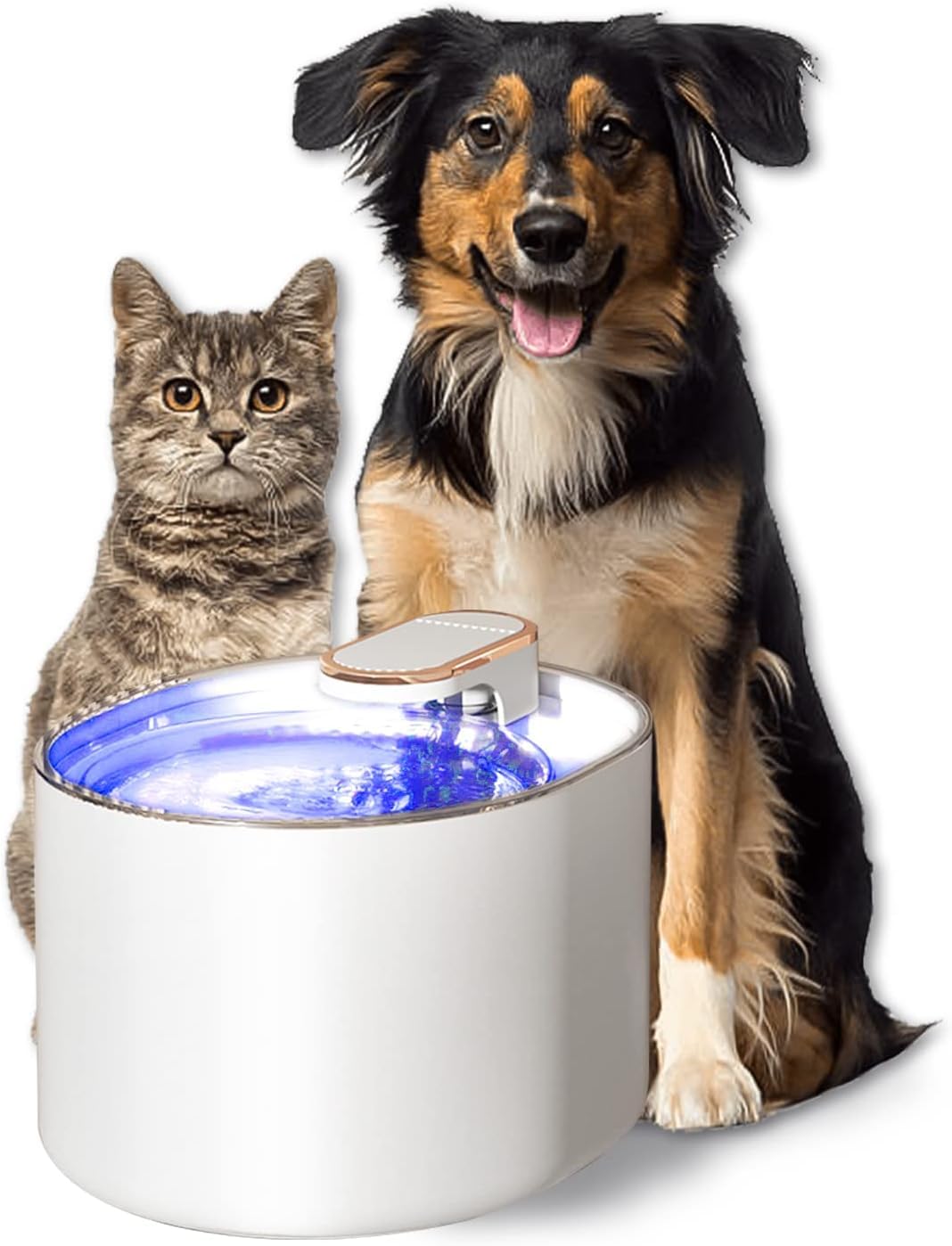 Amazon | 犬 水飲み器 猫 給水器 自動給水器 ペット みずのみ 大