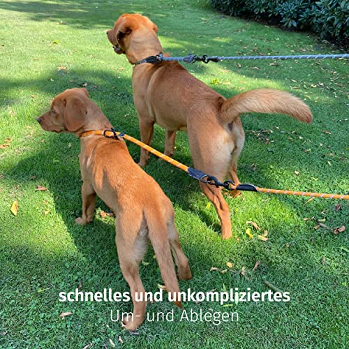 Floxik Retrieverhalsband grau | Robustes Dressurhalsband mit Zugstopp für mittelgroße und große Hunde, Halsumfang 30-60 cm, Ø 1,2 cm