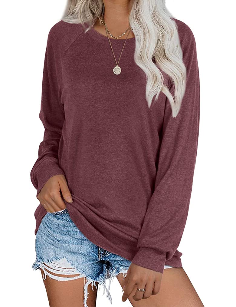 Qearal Womens Tunics Tops Fall Long Sleeve Loose Fit Casual Pullover Shirts