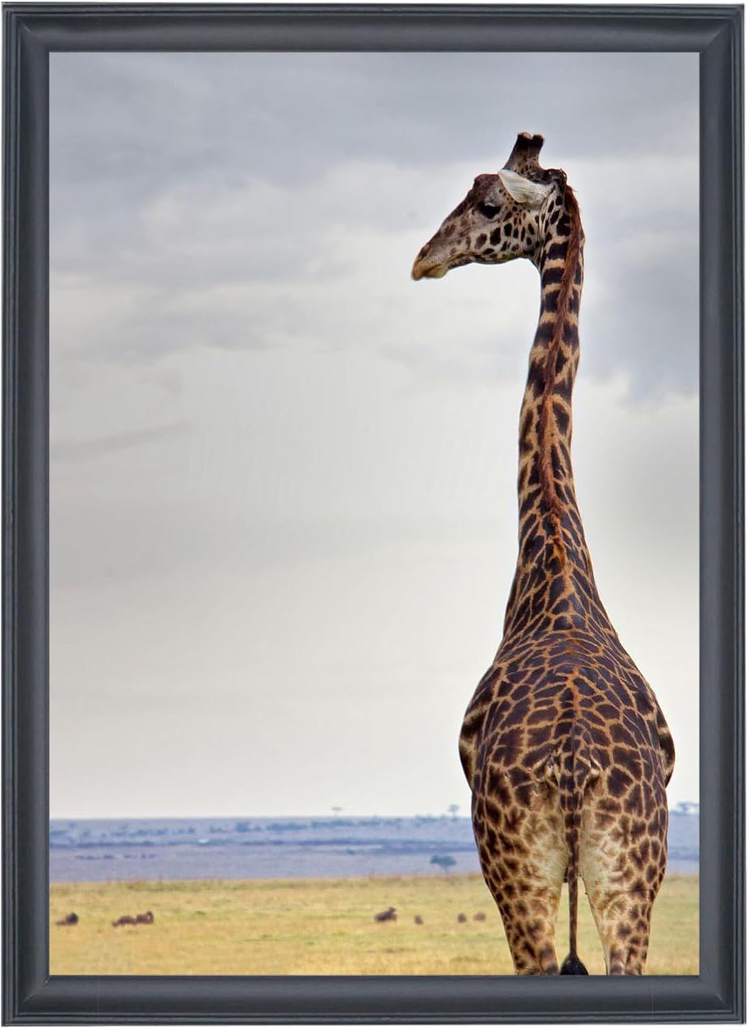 15x21 inch Picture Frame Solid Wood 15x21 Photo Frame 15x21 Poster Frame (A23B1521)