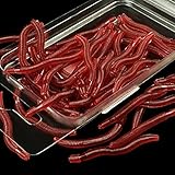 OriGlam 50pcs Bass Fishing Worms, Soft Plastic Worms, Drop Shot Worms, Soft Plastic Baits, Bass...