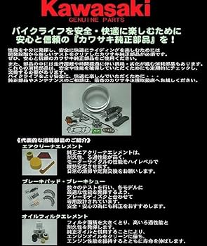 Amazon | Kawasaki 2023-2024年 ELIMINATOR/ELIMINATOR SE USB