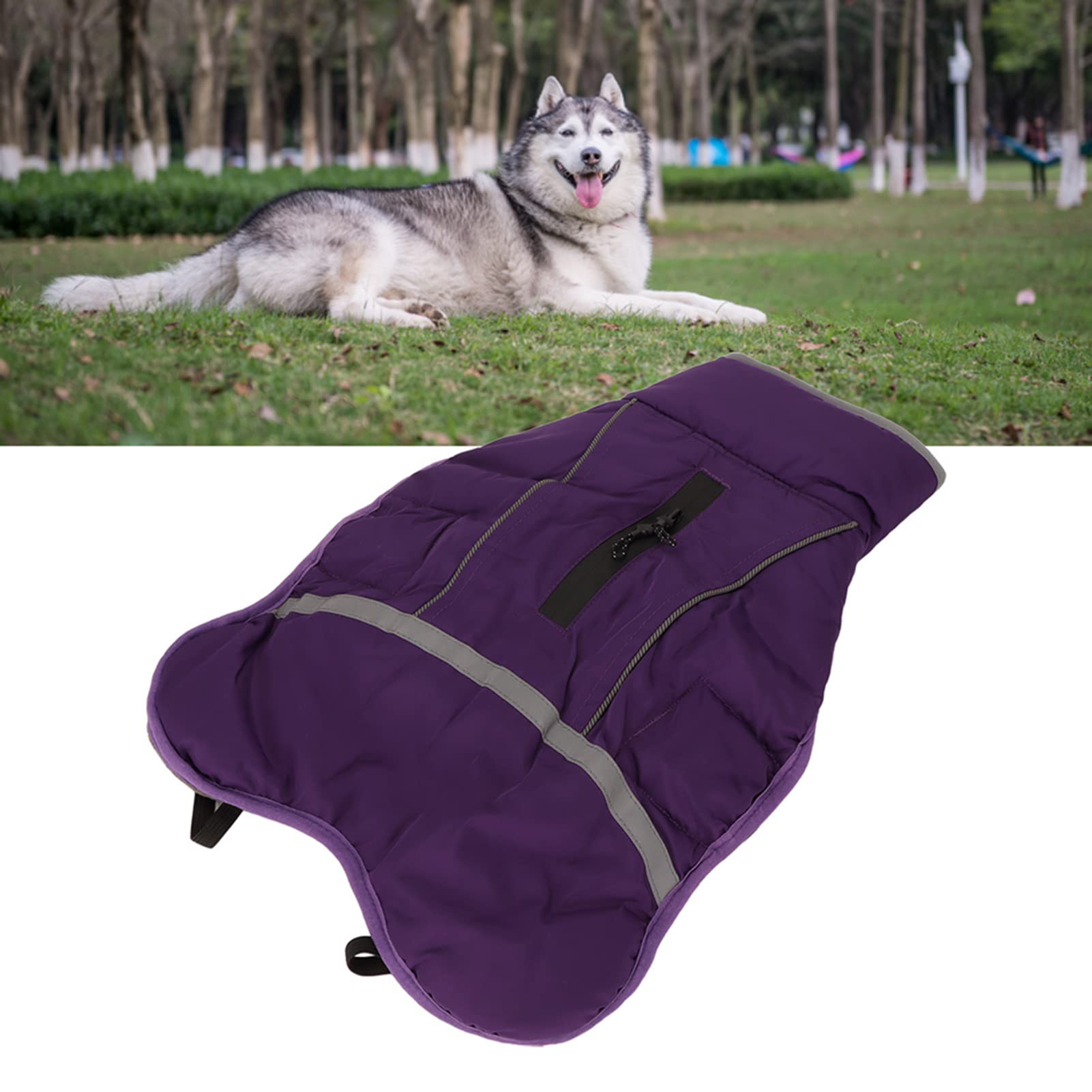 Manteau d'hiver Chaud réfléchissant pour Chien, Veste rembourrée Douce et épaisse pour Animal de Compagnie de Taille Moyenne et Grande (XXL)