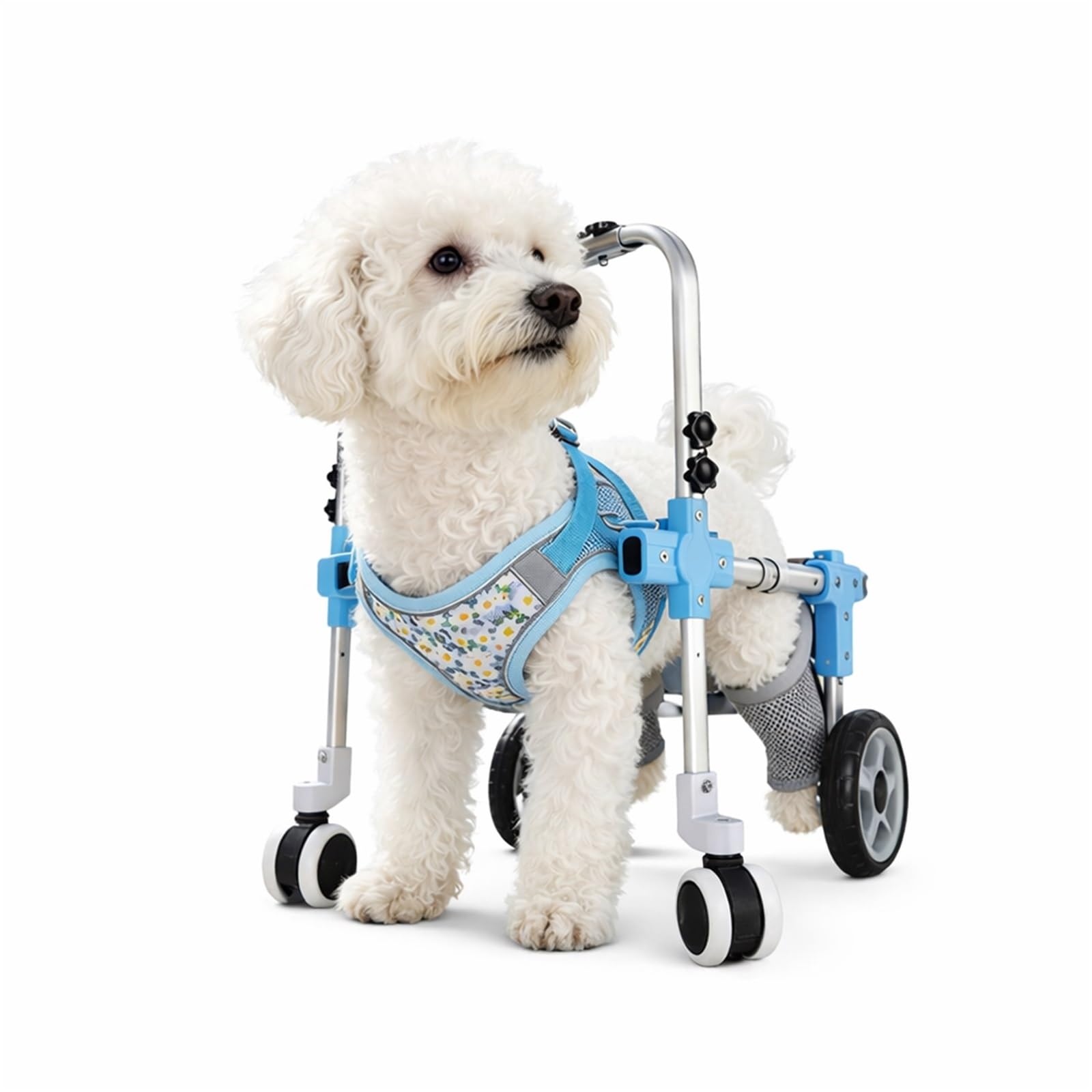 CASOME Adjustable 4-Wheel Dog Wheelchair For Front & Hind Legs – Lightweight Mobility Aid For Elderly Dogs – EVA Wheels For Comfortable Mobility & Easy Adaptation – Fits Small Breeds(Blue4wheel,S)