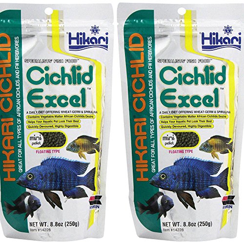 Hikari Cichlid Excel 2 confezioni di mini pellet