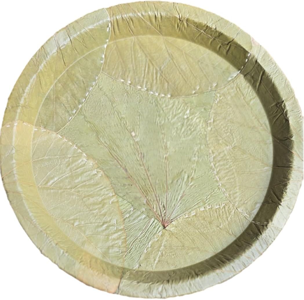 14 inch Sal Leaf Buffet plates Pack of 20 - Eco-friendly, Biodegradable, Disposable and 100% Natural