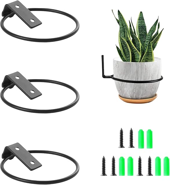 Houdao 3pcs 6inch Wall Plant Holder Plant Pot Holder Wall Mounted Metal Heavy Duty Black Ring Plant Stand Flower Pot Hanger with Screws for Holding Planters flower Outdoor/Indoor