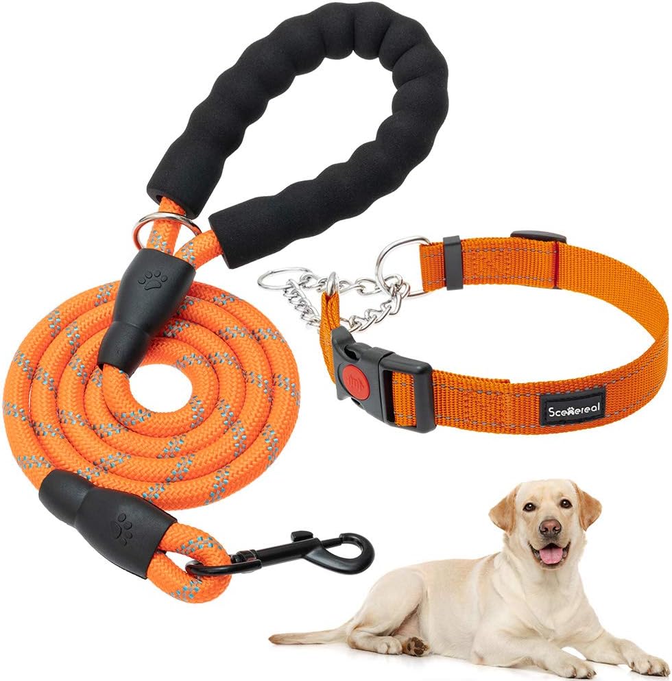 Dog Martingale Collar with Leash - Reflective Martingale Collars for Small Medium Large Dogs with Quick Release Buckle, Strong Rope 5ft…