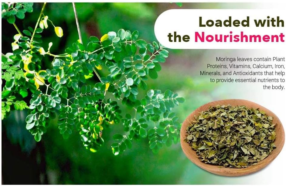 Moringa Tea Cut Leaves 8 Ounces(0.5 lb), Rich Source of Antioxidants - Green Nectar - Image 4