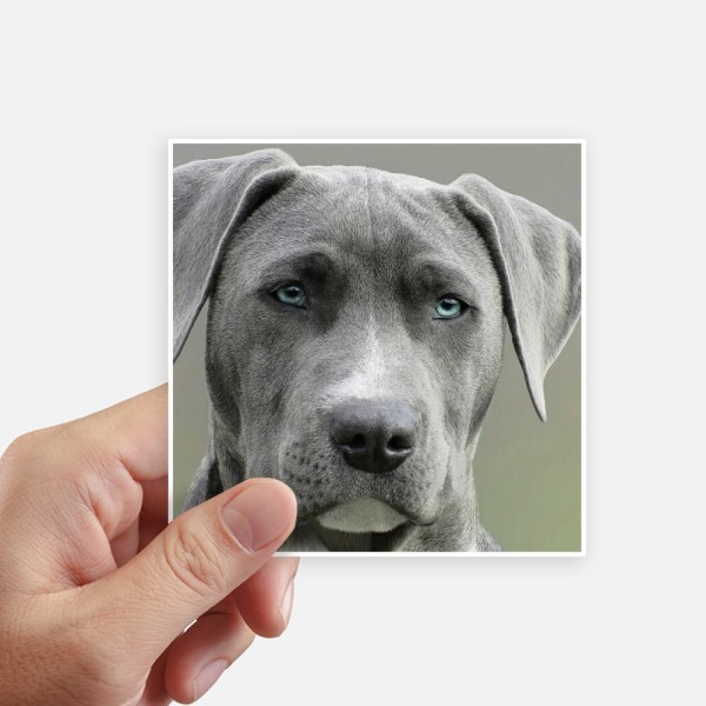 Stickers Chien 10cm pour Customiser Votre Ordinateur Portable et Moto