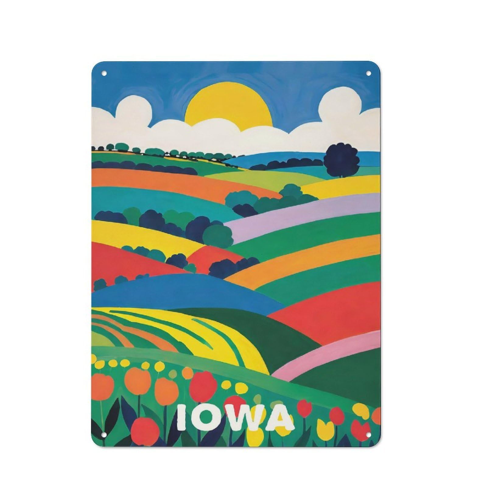 Junmoney Style-10 Modern Retro Colorful Iowa Retro Art Metal Wall Art Sign 40X30cm, Studio Wall Art For Modern Home, Workshop, Office Or Cafe