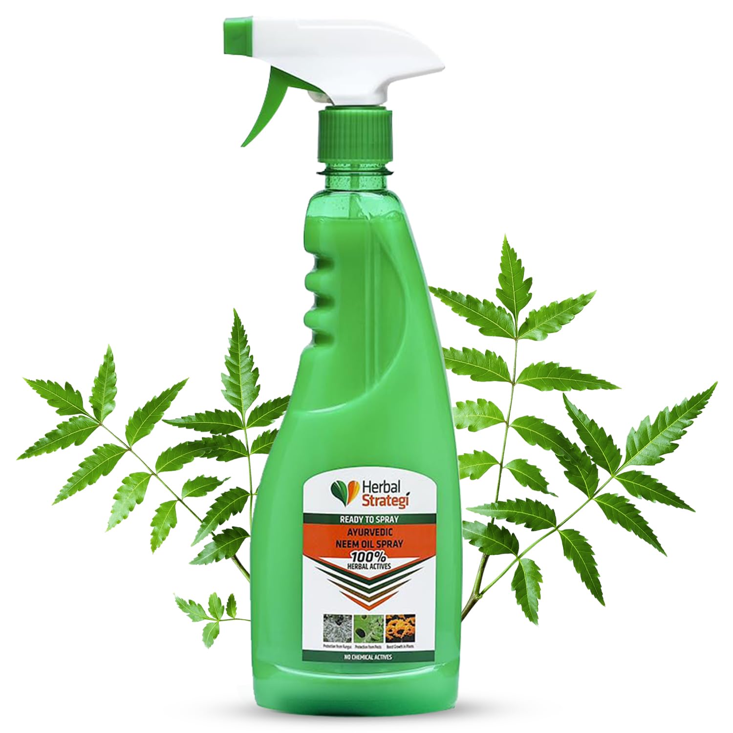 Herbal Strategi Ayurvedic Neem Oil Ready to use Spray for plants - 500 ml | Protection from Fungus & Pests | Boost Growth in Plants (B0CV4J29F6) Amazon Price History, Amazon Price Tracker