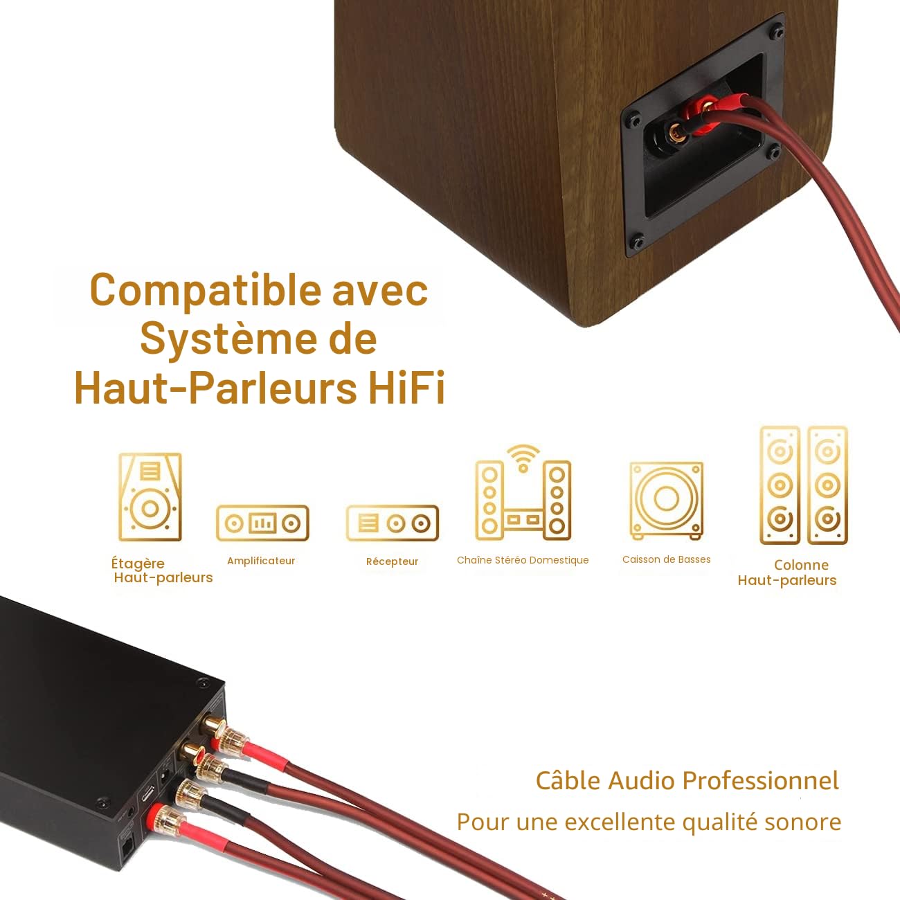 LONPOO Câble d'enceinte HiFi en Cuivre Pur avec Connecteurs Banane Plaqués or, 14 AWG, 2 m LP42 Passive Haut-parleur (paire)