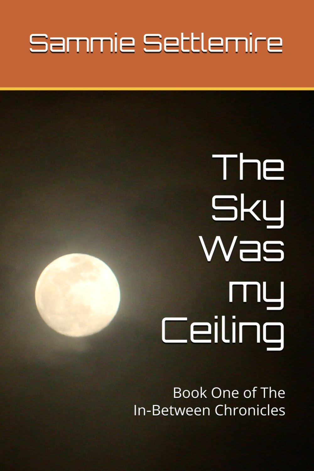 The Sky Was my Ceiling: Book One of The In‑Between Chronicles