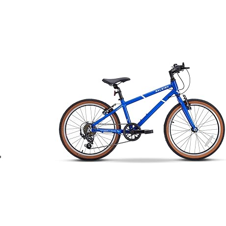 Raleigh MXR Pop 20 2023