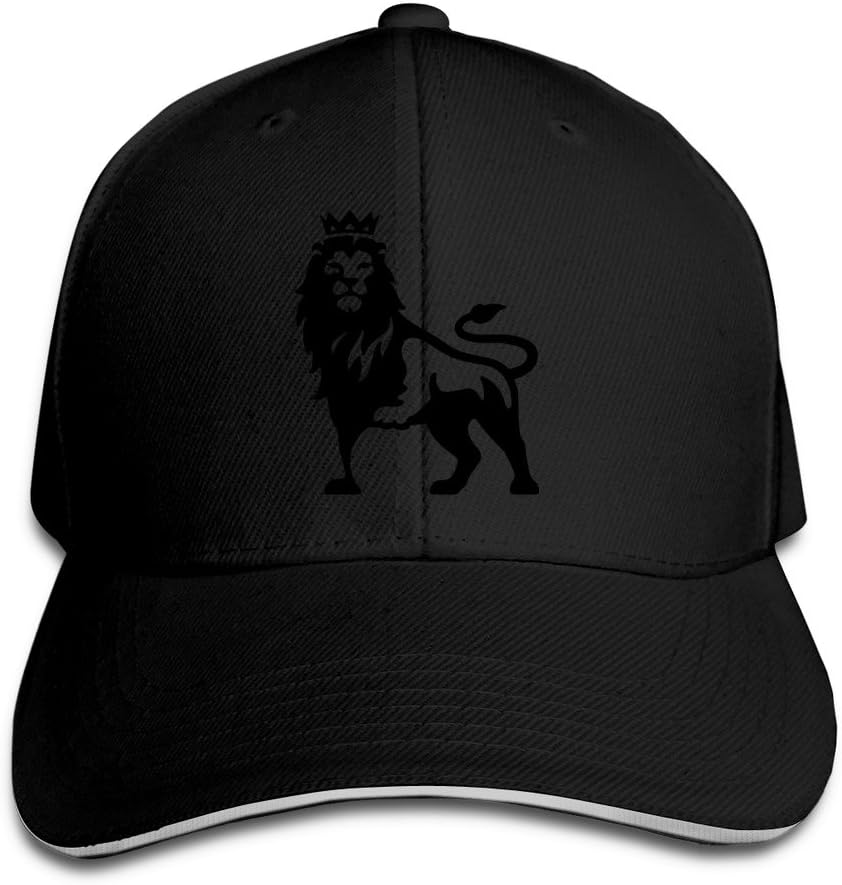 DANSHEN LION KING Snapback Hats Caps