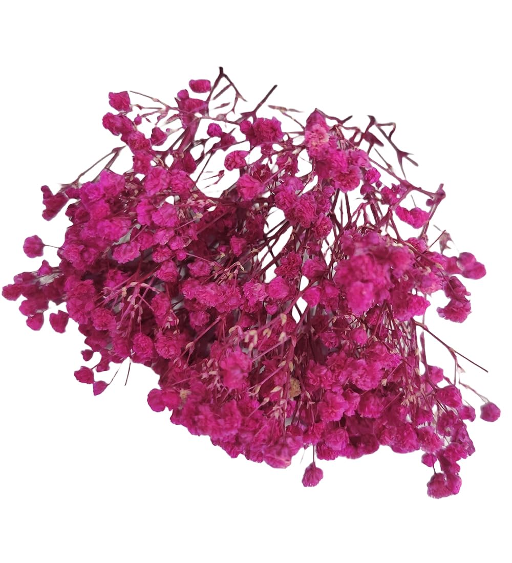 Magenta Baby Breath/Gypsy Flower for Hair Styling Hair Accessories for Wedding Parties-Pack of 10gms Box | Bridal Hair Accessories-image-12