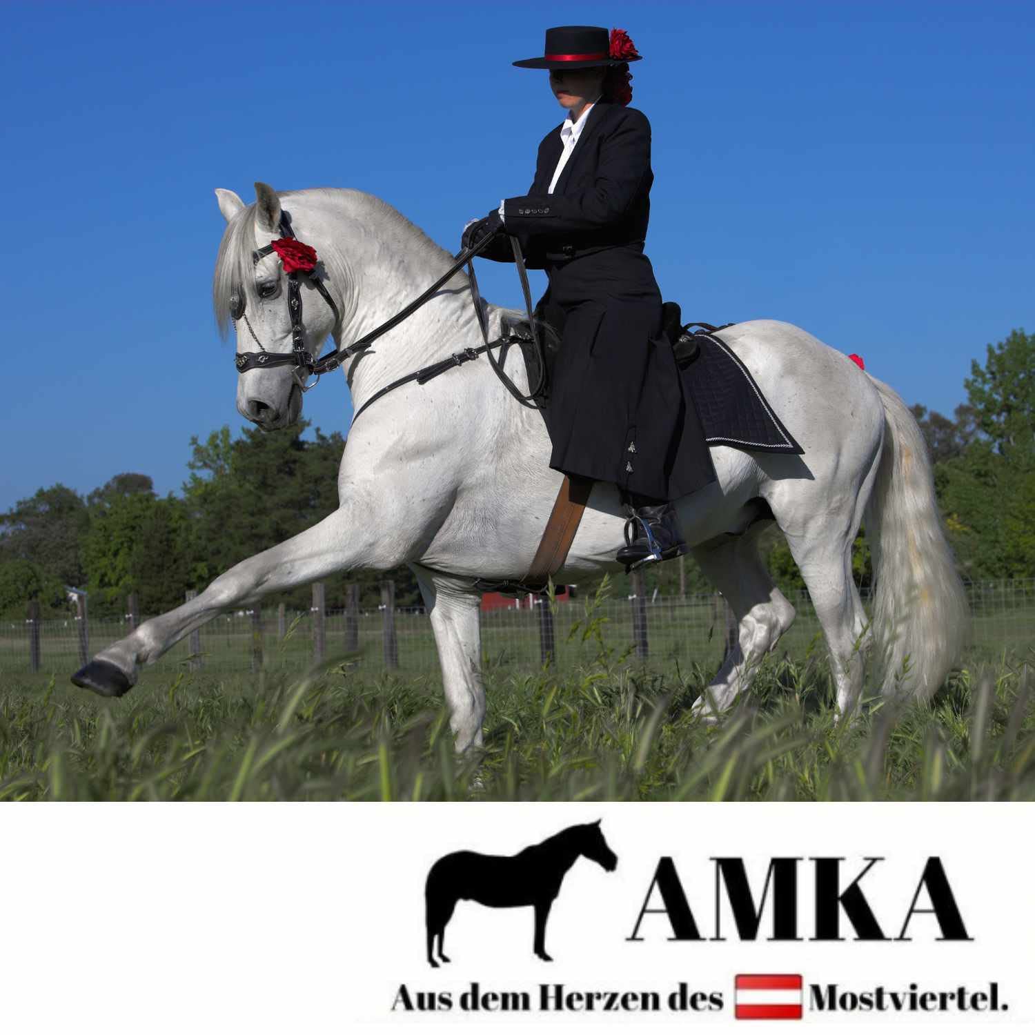 AMKA Prunkzaum Portugiesische Trense Barockzaum Barocktrense schwarz Silber Ornamente
