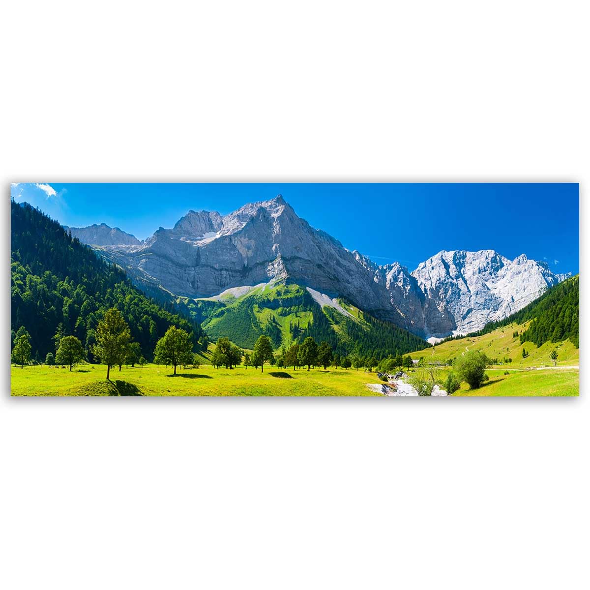 Tableau panoramique alpages lumineux au ciel bleu éclatant et cimes alpines enneigées