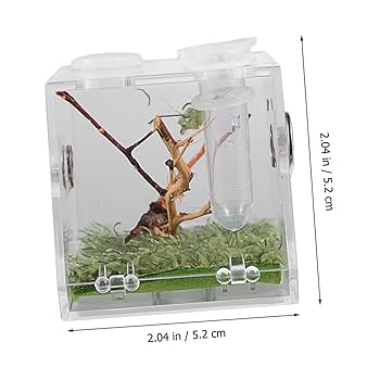 エキゾチックアニマル飼育セット エキゾチックアニマル飼育セット