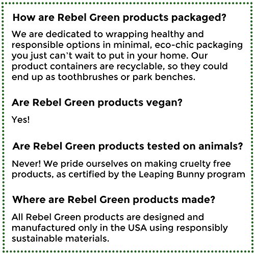 Rebel Green Sparkling Glass Cleaner, Eco Friendly Natural Streak Free Glass and Surface Spray - Lavender & Grapefruit Scented, 32 Ounce Bottle, Pack of 4