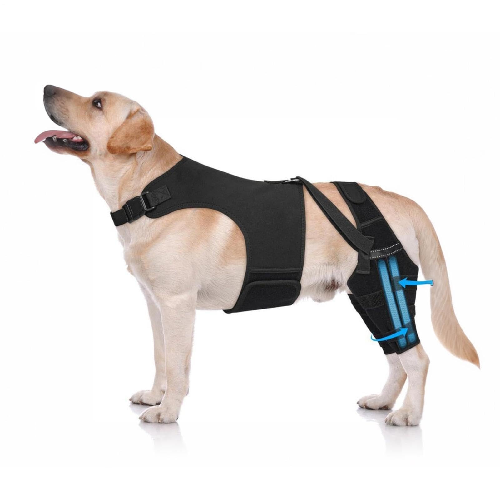 Manchons de récupération pour chien : bandages de soutien et de stabilité articulaire