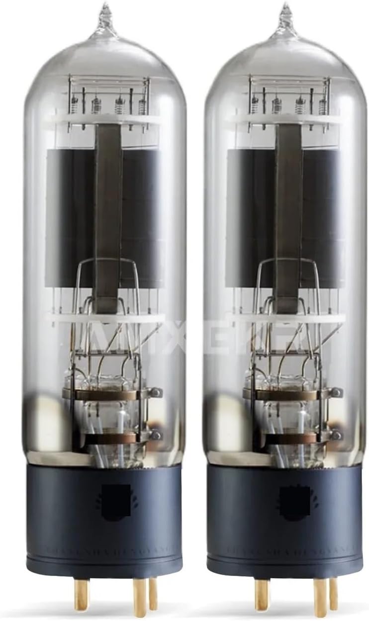 WE212E Retro Vacuum Tube 212 Lamp(2 pcs)