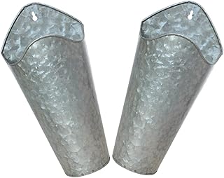 Gatuida Galvanized Iron Wall Planter 2pcs Set, Round Hanging Flower Pots...