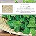 Pre de Provence Artisanal Soap Bar, Natural French Skincare, Enriched with Organic Shea Butter, Quad Milled for Rich, Smooth & Moisturizing Lather, Mint Leaf, 5.3 Ounce