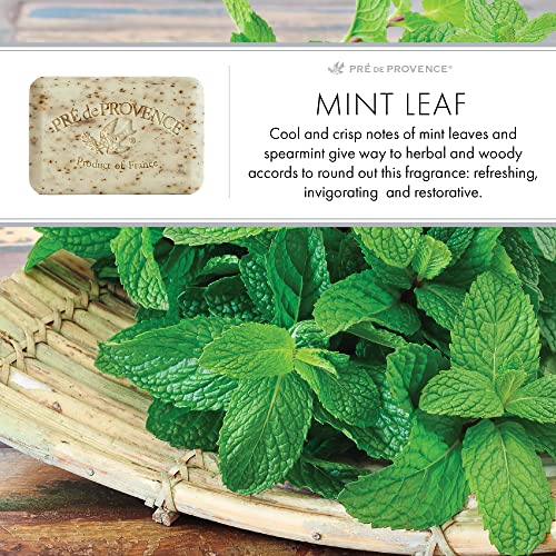 Image of Pre de Provence Artisanal Soap Bar, Natural French Skincare, Enriched with Organic Shea Butter, Quad Milled for Rich, Smooth & Moisturizing Lather, Mint Leaf, 5.3 Ounce