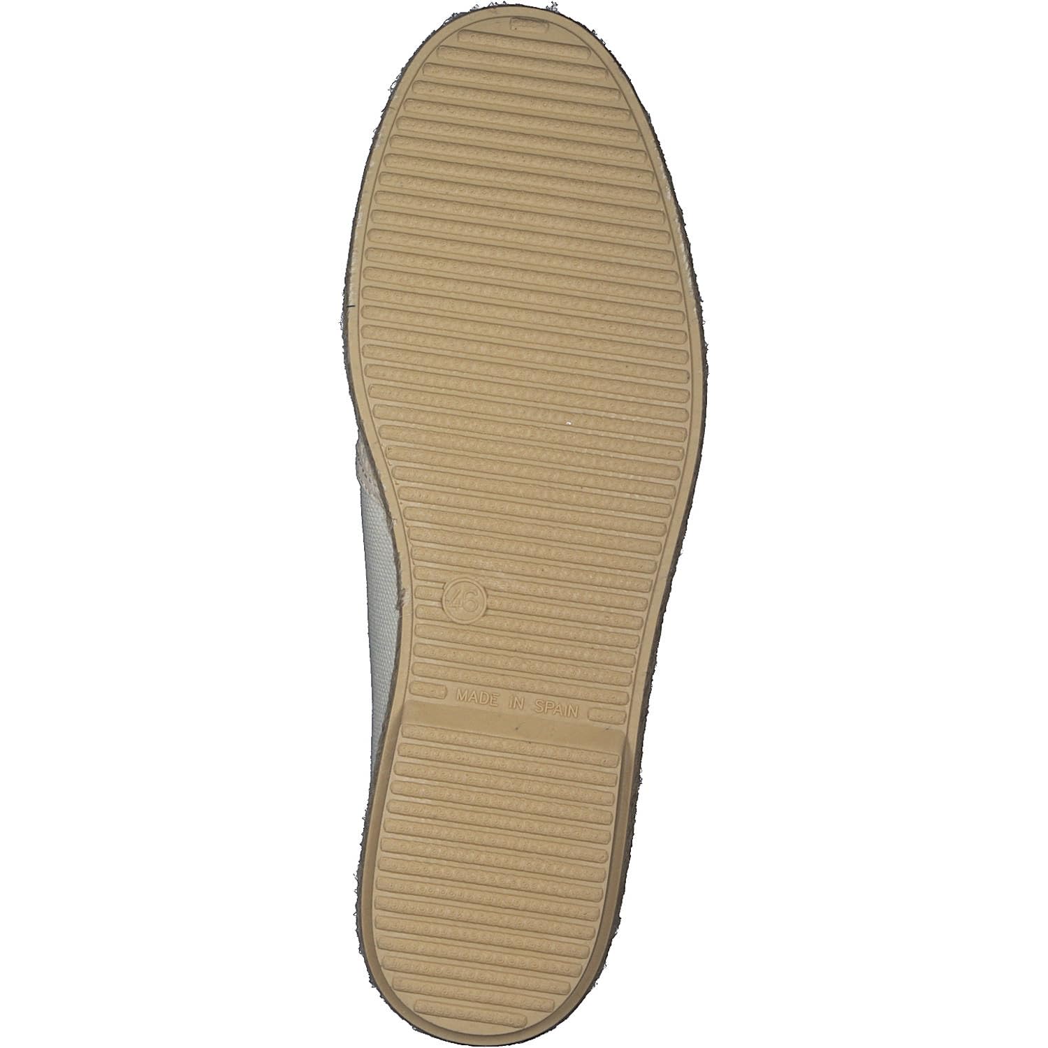 VERBENAS Troy Pacific