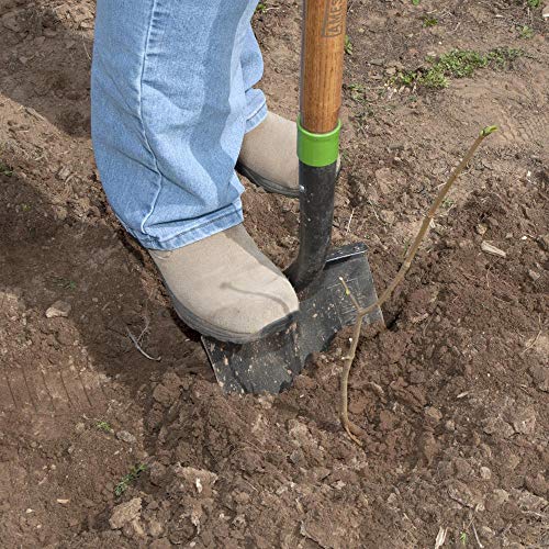 AMES 2535600 Tempered Steel Digging Shovel with Hardwood Handle, 60-Inch